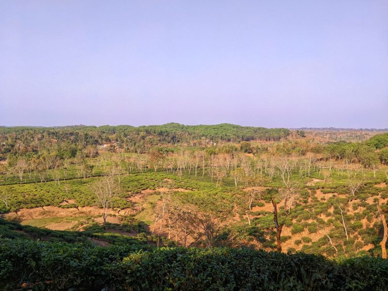 পাহাড় আর সবুজের মিতালি