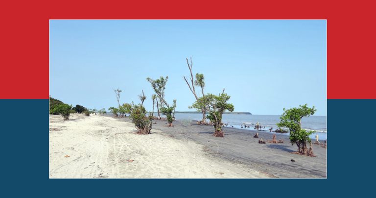 এক ভ্রমণে নয়নাভিরাম ৪ সমুদ্রসৈকত