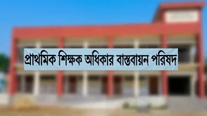 ৩ দফা দাবি বাস্তবায়নে প্রাথমিকের শিক্ষকদের সংবাদ সম্মেলন